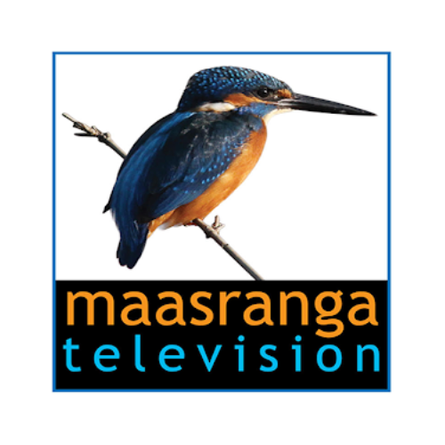 Maasranga TV